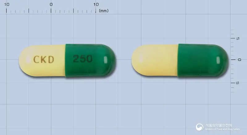 에리스로캡슐(에리트로마이신에스톨산염) 앞뒤 사진 (초록색 캡슐, 각인 CKD 250)