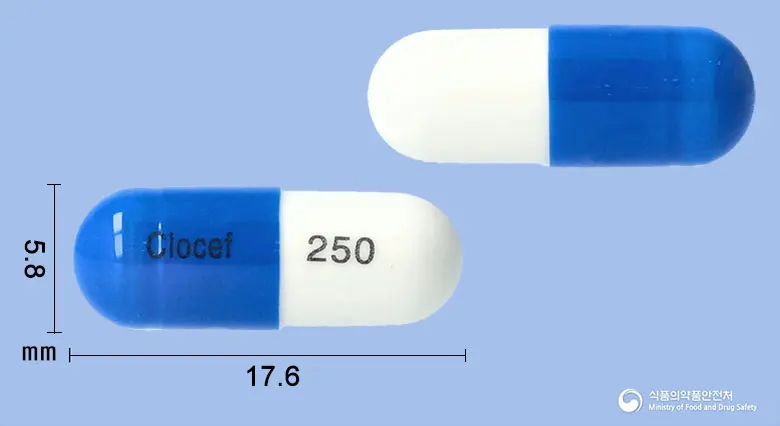 크로세프캡슐250밀리그램(세파클러수화물) 앞뒤 사진 (파란색 캡슐, 각인 Clocef 250)