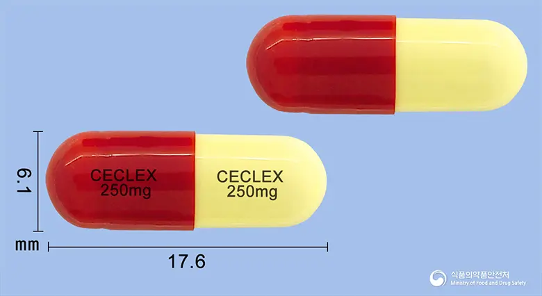세클렉스캡슐250mg(세파클러수화물) 앞뒤 사진 (빨간색 캡슐, 각인 CECLEX CECLEX250mg 250mg)