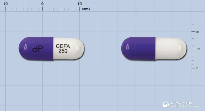 대화세파클러캡슐 앞뒤 사진 (보라색 캡슐, 각인 CEFA 250)
