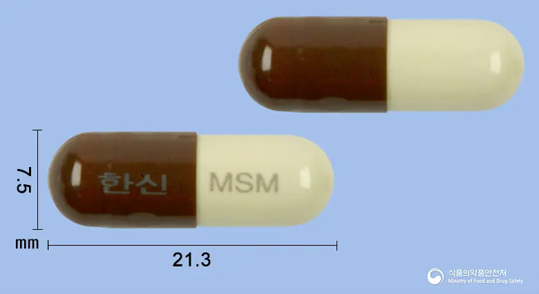 메시마캡슐(상황균사체엑스) 앞뒤 사진 (갈색 캡슐, 각인 한신 MSM)