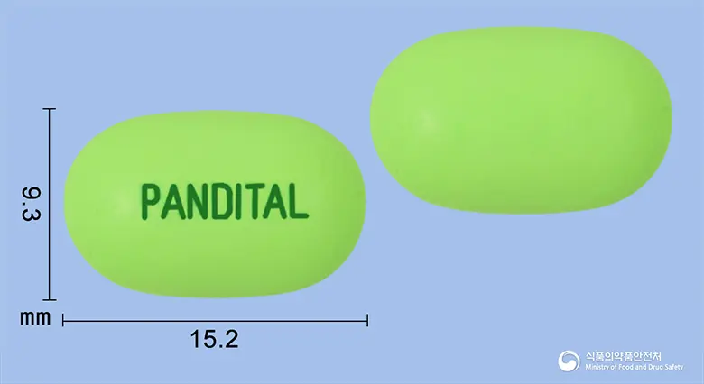 판디탈정 앞뒤 사진 (연두색 장방형, 각인 PANDITAL)