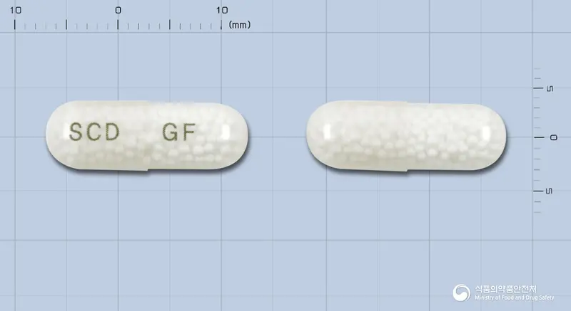 글리펜서방캅셀(페노피브레이트펠렛) 앞뒤 사진 (흰색·투명 캡슐, 각인 SCD GF)