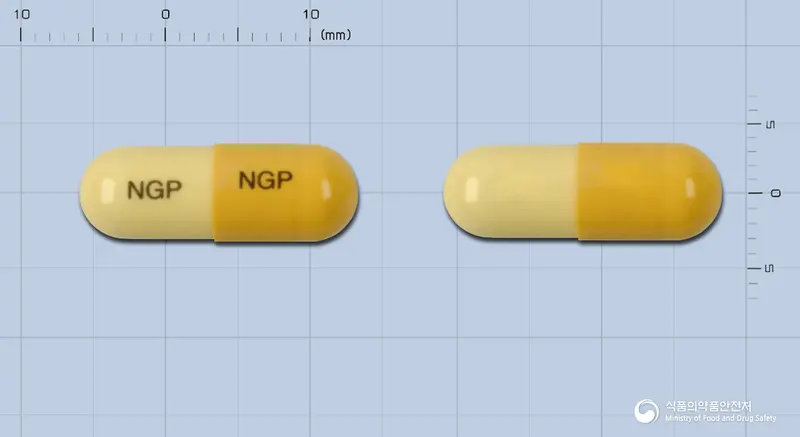 자스티딘캡슐150밀리그램(니자티딘) 앞뒤 사진 (노란색 캡슐, 각인 NGP NGP)