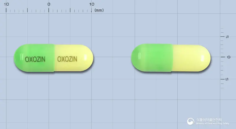 옥소진캅셀 앞뒤 사진 (연두색 캡슐, 각인 OXOZIN OXOZIN)