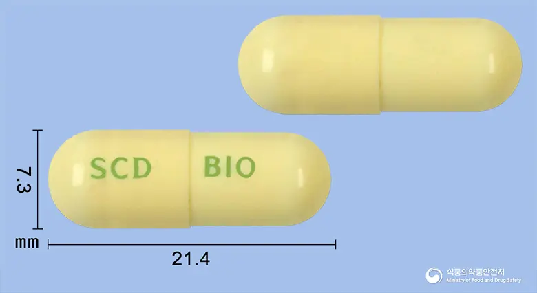 비오락토캡슐(락토바실루스아시도필루스균) 앞뒤 사진 (노란색 캡슐, 각인 SCD BIO)