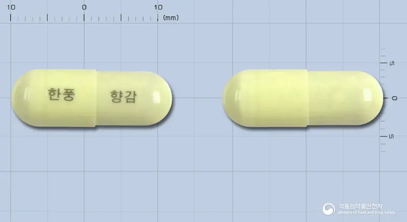 향감캡슐 앞뒤 사진 (노란색 캡슐, 각인 한풍 향감)