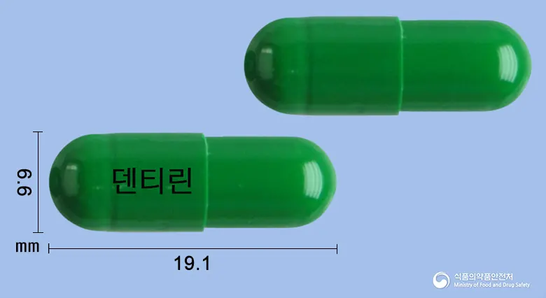 덴티린캡슐 앞뒤 사진 (초록색 캡슐, 각인 덴티린)