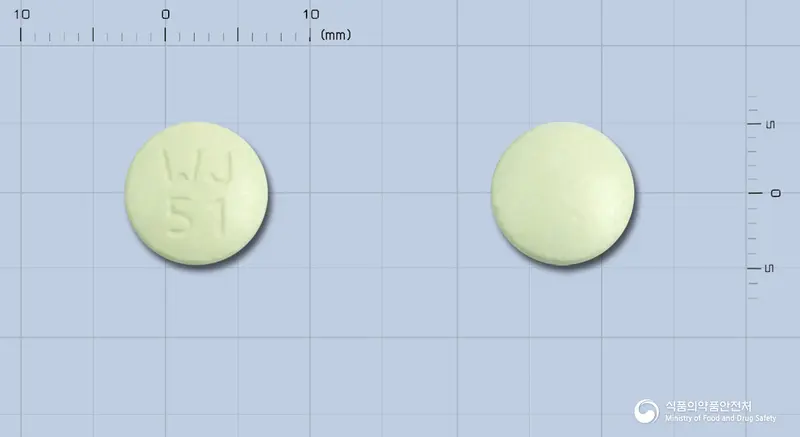 파브정(방풍통성산연조엑스) 앞뒤 사진 (연두색 원형, 각인 WJ51)