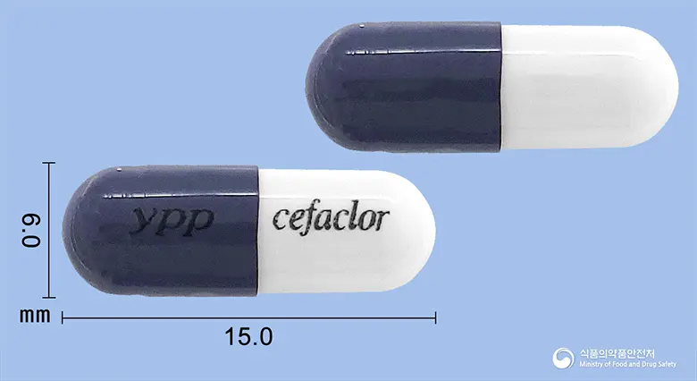 영풍세파클러캡슐250밀리그램 앞뒤 사진 (남색 캡슐, 각인 ypp cefaclor)