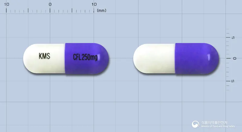 케이엠에스세파클러캡슐250밀리그람 앞뒤 사진 (보라색 캡슐, 각인 KMS CFL250mg)
