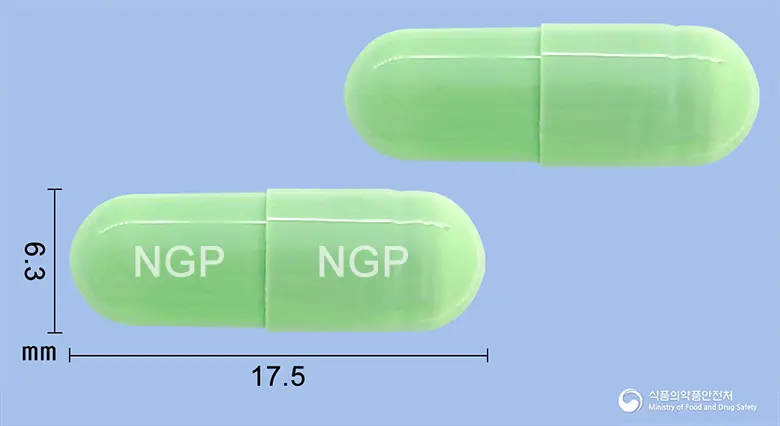 멜록시젠캡슐(멜록시캄) 앞뒤 사진 (연두색 캡슐, 각인 NGP NGP)