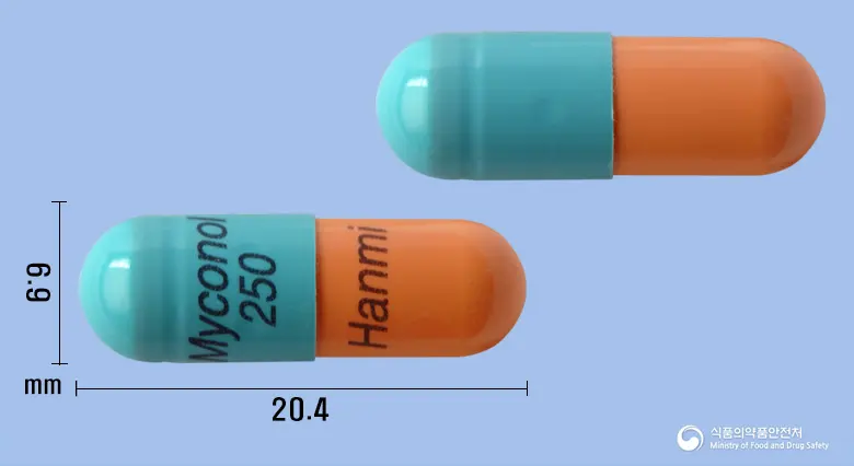 마이코놀캡슐250밀리그램(미코페놀레이트모페틸) 앞뒤 사진 (파란색 캡슐, 각인 Myconol250Hanmi)