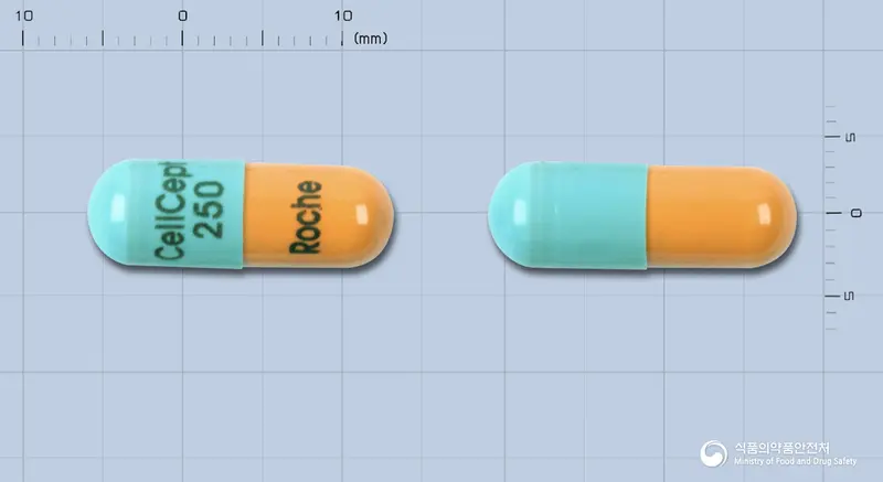 셀셉트캡슐250밀리그램(미코페놀레이트모페틸) 앞뒤 사진 (파란색 캡슐, 각인 CellCept250Roche)