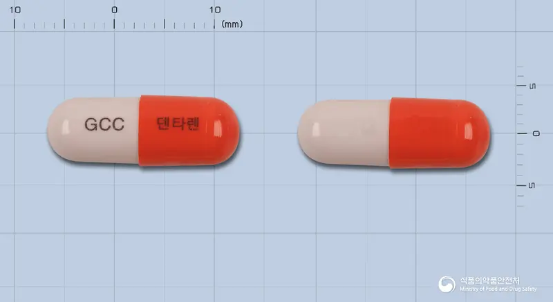 덴타렌캡슐 앞뒤 사진 (주황색 캡슐, 각인 GCC 덴타렌)