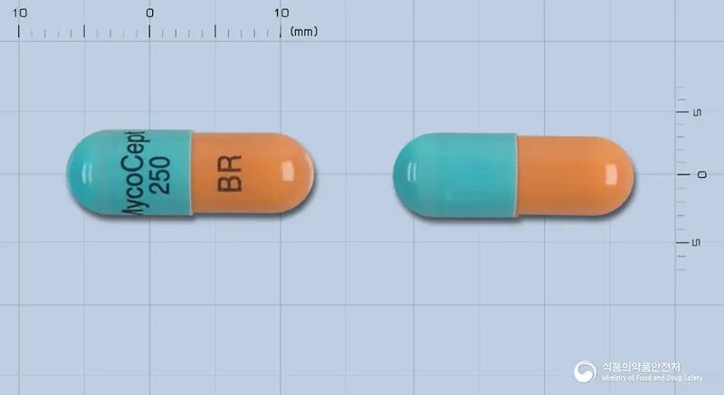 마이코셉트캡슐250mg(미코페놀산모페틸) 앞뒤 사진 (파란색 캡슐, 각인 MycoCept250BR)