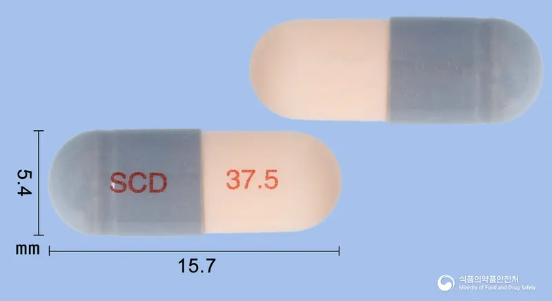 벤라팩트서방캡슐37.5mg(벤라팍신염산염) 앞뒤 사진 (회색 캡슐, 각인 SCD 37.5)