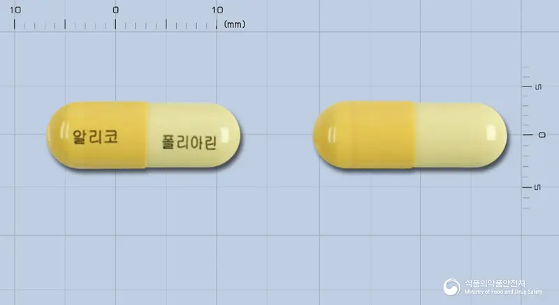 폴리아린캡슐 앞뒤 사진 (노란색 캡슐, 각인 알리코 폴리아린)