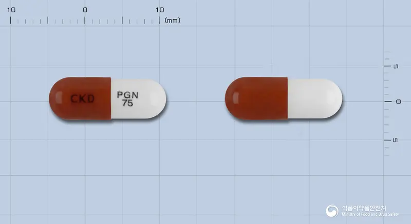 가바리카캡슐75밀리그램(프레가발린)(수출용) 앞뒤 사진 (갈색 캡슐, 각인 CKD PGN 75)