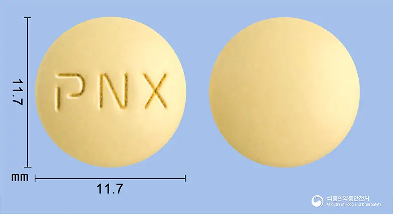 알마딘정 앞뒤 사진 (노란색 원형, 각인 PNX)