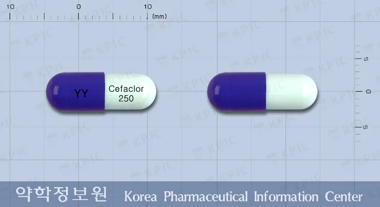 유유세파클러캡슐(세파클러수화물) 앞뒤 사진 (보라색 캡슐, 각인 YY Cefaclor 250)