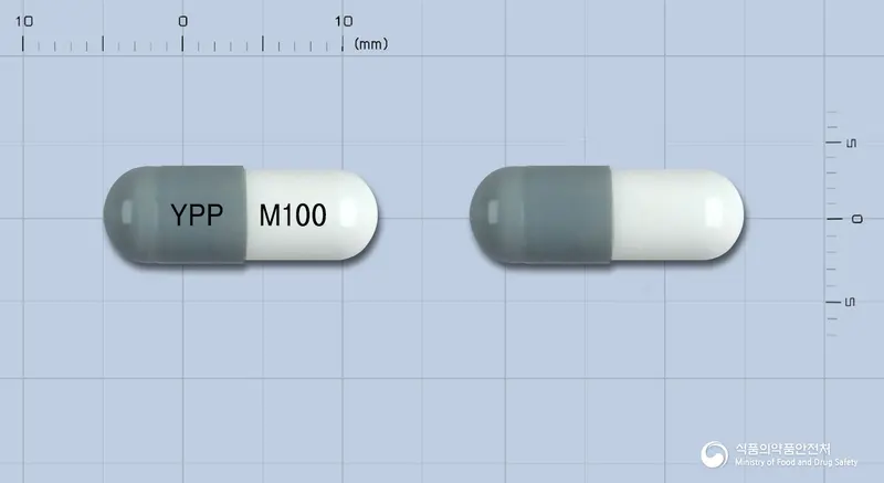 뮤코시린캡슐(아세브로필린) 앞뒤 사진 (회색 캡슐, 각인 YPP M100)
