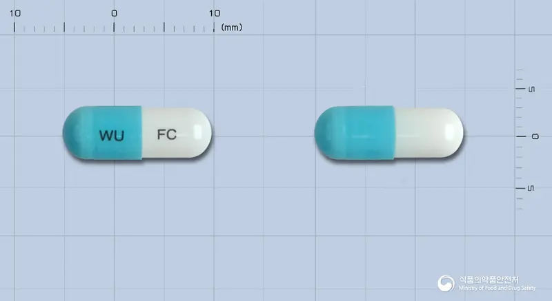 후로졸캡슐50mg(플루코나졸) 앞뒤 사진 (파란색 캡슐, 각인 WU FC)