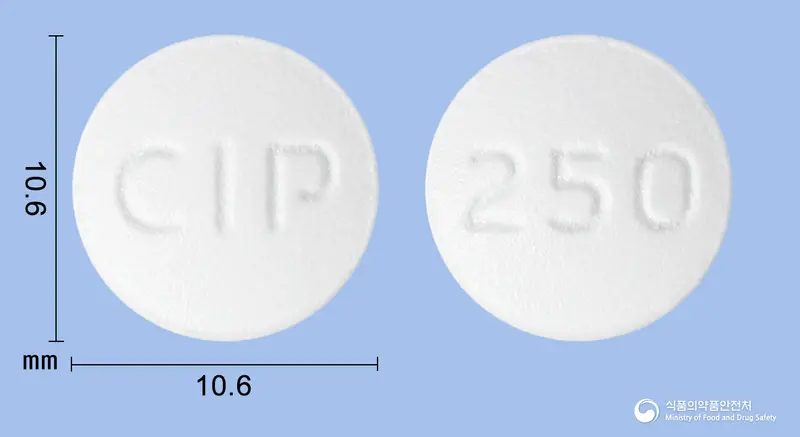 싸이프로신정250mg(시프로플록사신염산염수화물) 앞뒤 사진 (흰색 원형, 각인 CIP / 250)