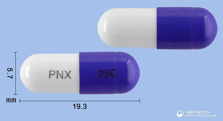 세파론캡슐250밀리그램(세파클러수화물) 앞뒤 사진 (보라색 캡슐, 각인 PNX 250)