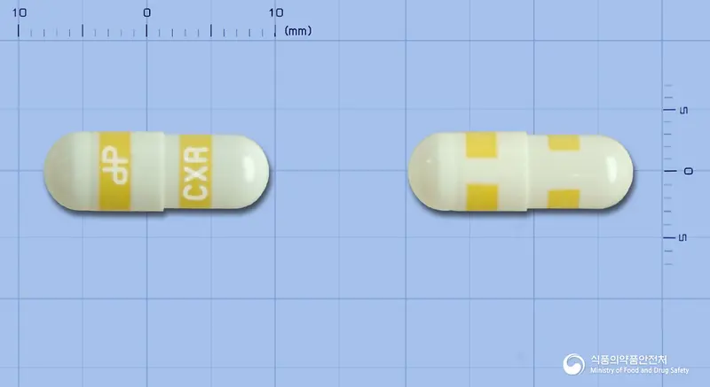 콕스렌캡슐(세레콕시브) 앞뒤 사진 (흰색 캡슐, 각인 CXR)