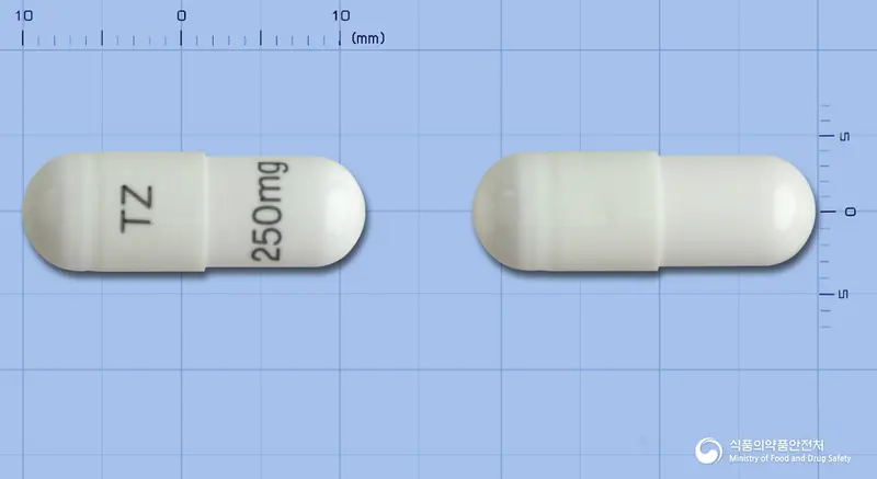 테모람캡슐250밀리그램(테모졸로미드) 앞뒤 사진 (흰색 캡슐, 각인 TZ250mg)