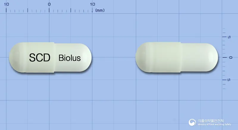 비오루스캡슐(바실루스리케니포르미스균) 앞뒤 사진 (흰색 캡슐, 각인 SCD Biolus)