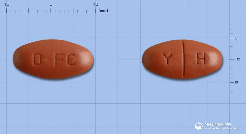 메가트루포커스정 앞뒤 사진 (갈색 타원형, 각인 B-FC / Y H)