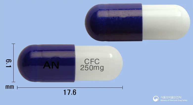 뉴파클러캡슐(세파클러수화물) 앞뒤 사진 (남색 캡슐, 각인 AN CFC 250mg)