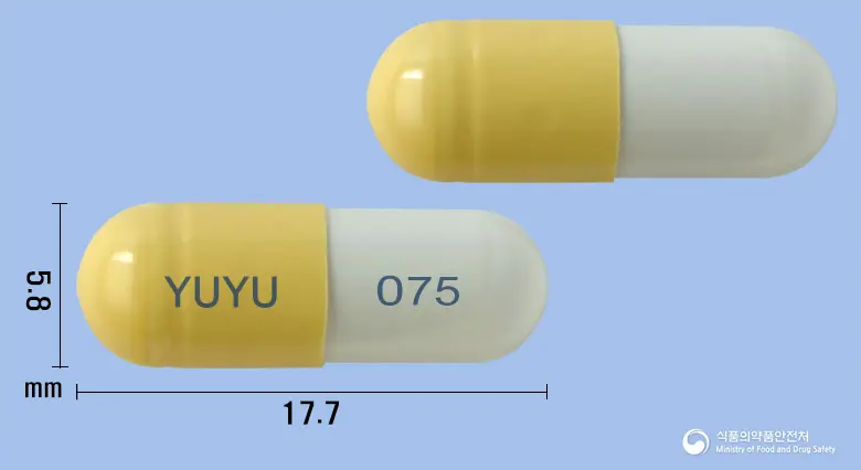 유유타미캡슐75밀리그램(오셀타미비르인산염) 앞뒤 사진 (노란색 캡슐, 각인 YUYU O75)