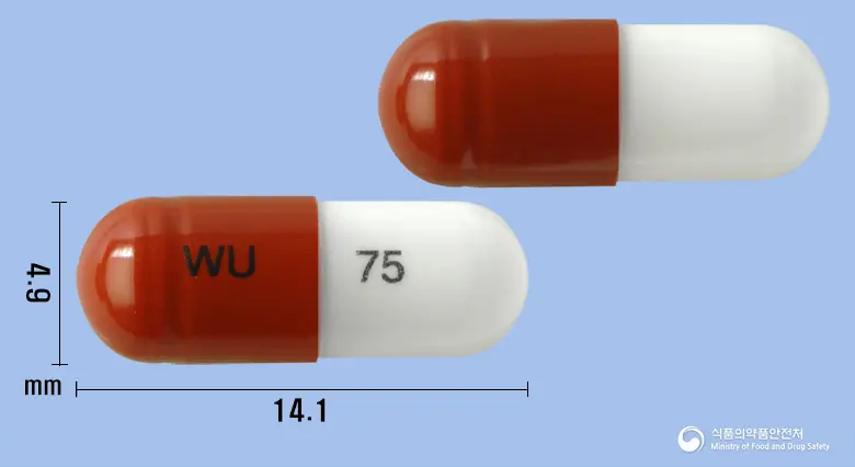 레가바캡슐75mg(프레가발린) 앞뒤 사진 (갈색 캡슐, 각인 WU 75)