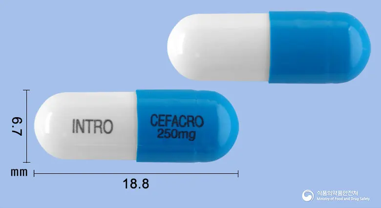 세파크로캡슐250mg(세파클러수화물) 앞뒤 사진 (파란색 캡슐, 각인 INTRO CEFACRO 250mg)