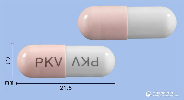 베노스타신캡슐(서양칠엽수종자50%에탄올건조엑스(4.5∼5.5→1)·덱스트린혼합물(100:10)) 앞뒤 사진 (분홍색 캡슐, 각인 PKV PKV)