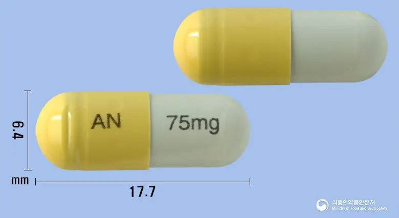 애니플루캡슐75밀리그램(오셀타미비르인산염) 앞뒤 사진 (노란색 캡슐, 각인 AN 75mg)