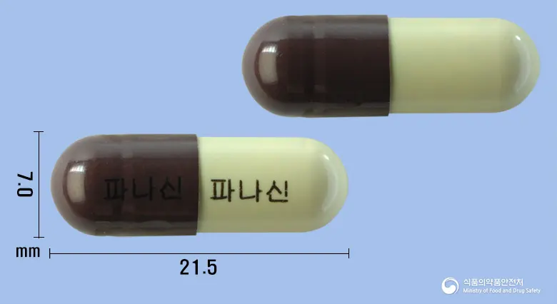 파나신캡슐(배농산급탕) 앞뒤 사진 (갈색 캡슐, 각인 파나신 파나신)