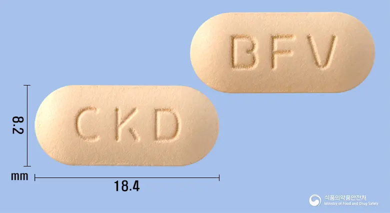 벤포벨브이정 앞뒤 사진 (주황색 장방형, 각인 CKD / BFV)