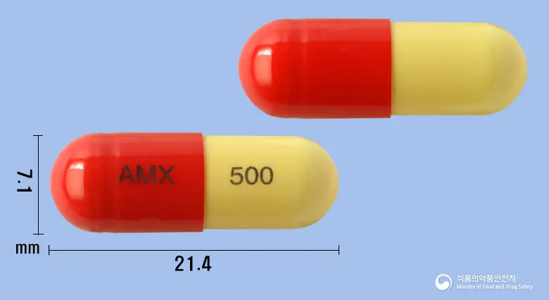 아목시스캡슐500mg(아목시실린수화물) 앞뒤 사진 (빨간색 캡슐, 각인 AMX 500)