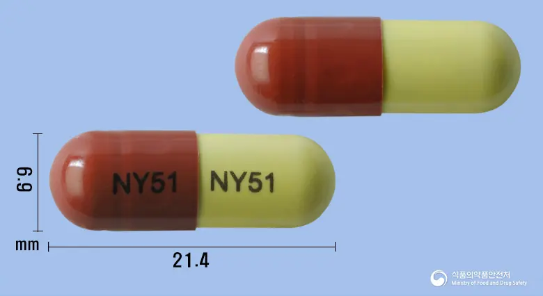 네오콜캡슐 앞뒤 사진 (갈색 캡슐, 각인 NY51 NY51)