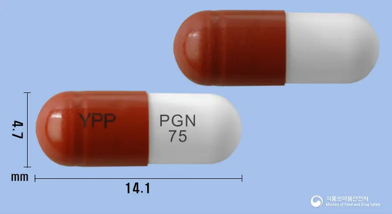 리카발린캡슐75밀리그램(프레가발린) 앞뒤 사진 (갈색 캡슐, 각인 YPP PGN 75)