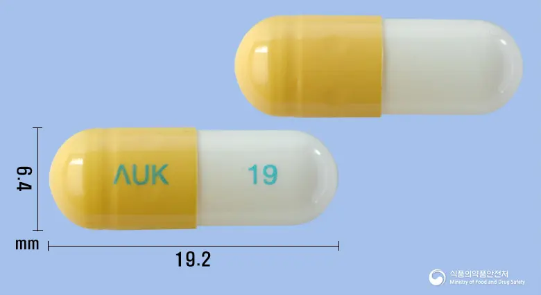 오스코프캡슐300mg(테오브로민) 앞뒤 사진 (노란색 캡슐, 각인 ΛUK 19)