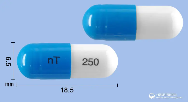 신텍스세파클러캡슐(세파클러수화물) 앞뒤 사진 (파란색 캡슐, 각인 nT 250)