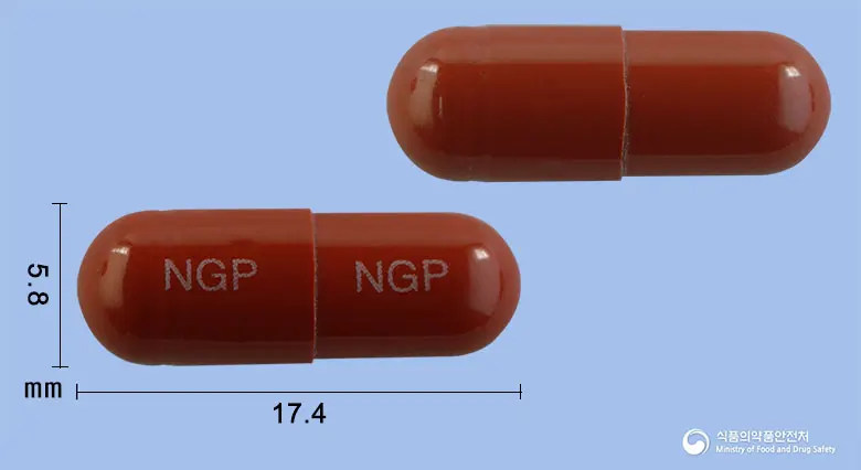 헤모맘플러스캡슐 앞뒤 사진 (갈색 캡슐, 각인 NGP NGP)
