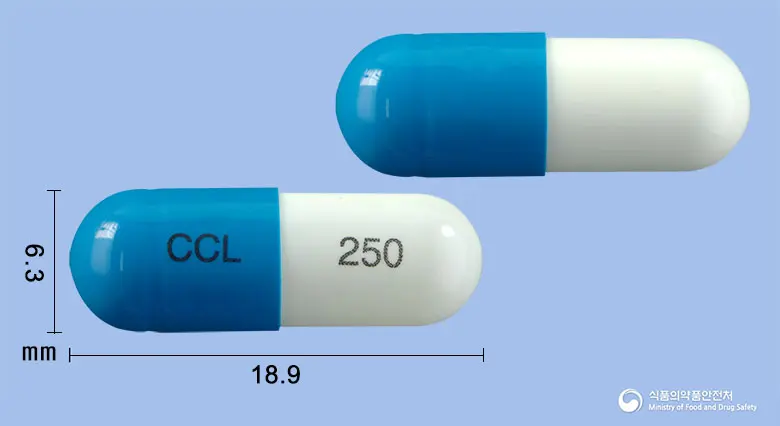 쎄클러캡슐250mg(세파클러수화물) 앞뒤 사진 (파란색 캡슐, 각인 CCL 250)