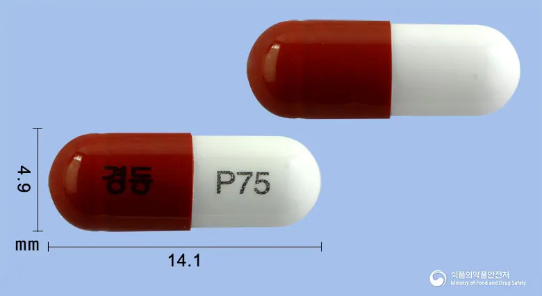 뉴카펜캡슐75밀리그램(프레가발린) 앞뒤 사진 (갈색 캡슐, 각인 경동 P75)
