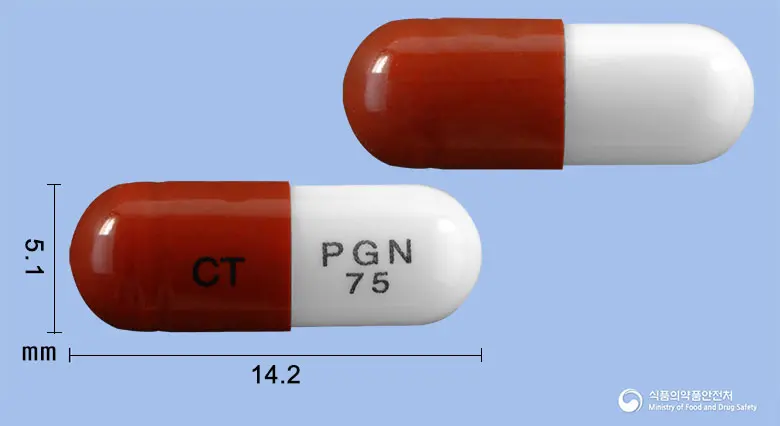 씨트리카캡슐75밀리그램(프레가발린) 앞뒤 사진 (갈색 캡슐, 각인 CT PGN 75)